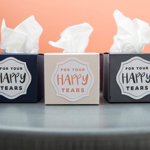 ST-DIY-Mini-Wedding-Tissue-Boxes_0012